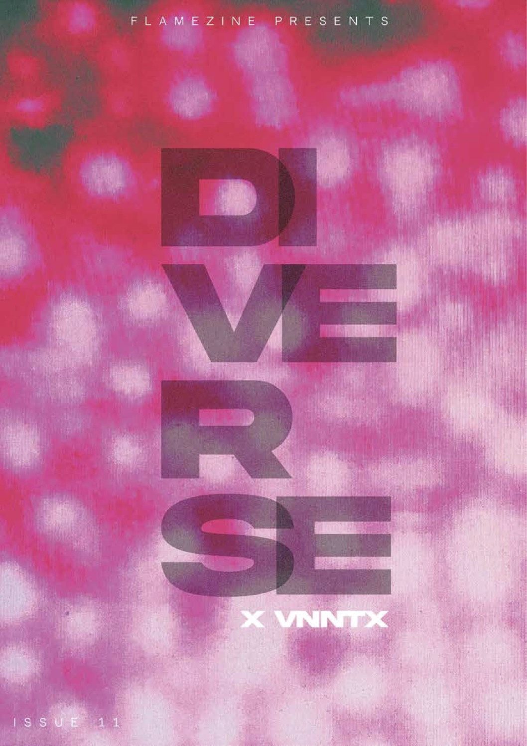 Zine cover in blurred pink and magenta with Diverse in large stacked block letters and x VNNTX beneath.