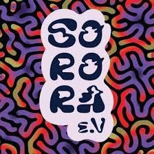 The Sorora e.V. logo: the name in rounded lettering on a white badge over a pattern of colourful winding lines.