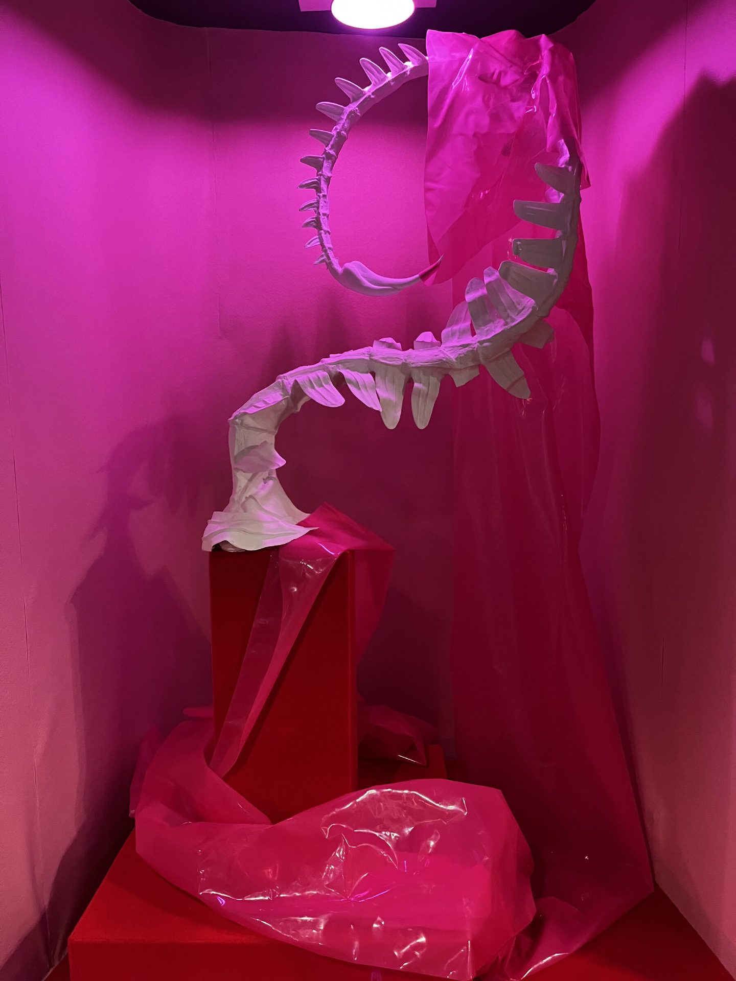 A vivid pink-lit niche holding a white sculpture resembling a spine or jawbone, draped with pink plastic sheeting.